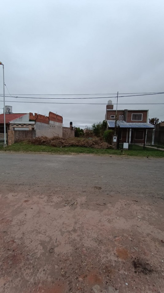 Lote zona M David y Garrigo 