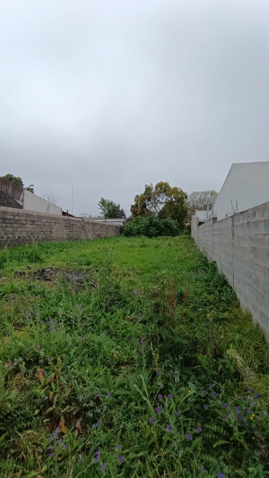 Lote Zona Garrigo y Ohiggins 