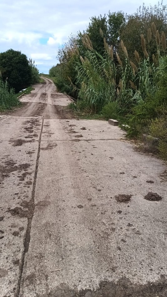 Campo Ejido Antonio Tomas 