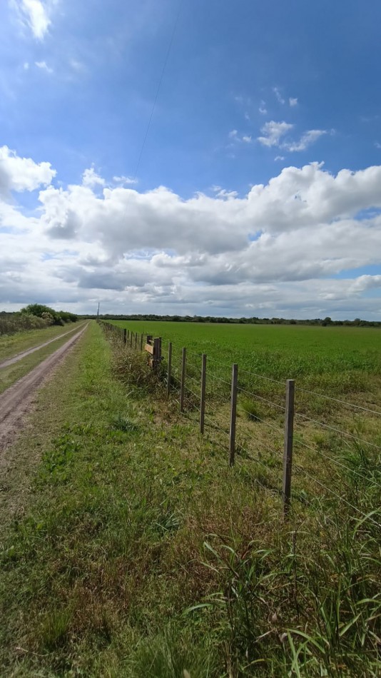 Campo Ejido Antonio Tomas 