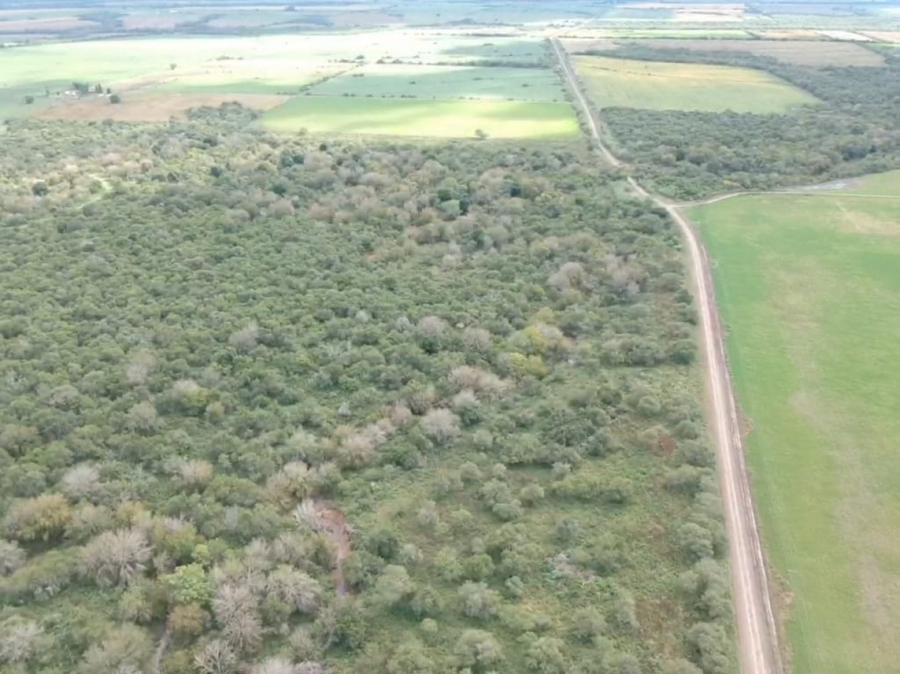 Campo Ejido Antonio Tomas 