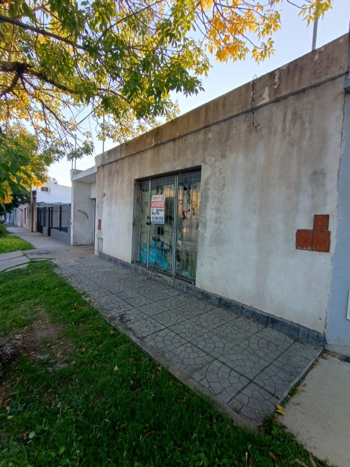 Casa con Local + Galpon 