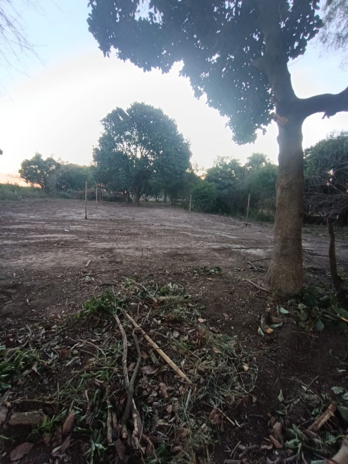 Terrenos Sobre Av Zanni 