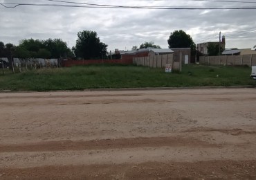 Lote sobre Avenida c/cloacas . 