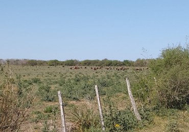 Sobre Ruta 8
